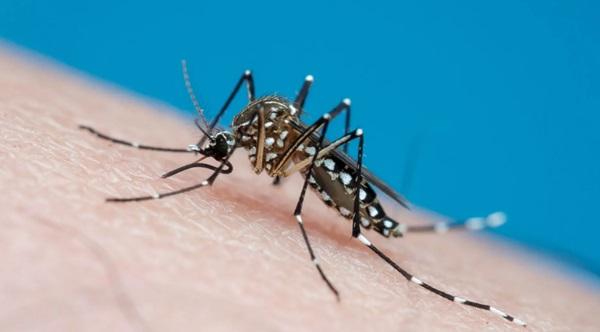 Piauí está com 36 cidades em alerta para casos de dengue; veja lista