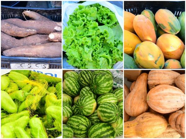 Prefeitura de Floriano inicia distribui&ccedil;&atilde;o de produtos da alimenta&ccedil;&atilde;o escolar(Imagem:Secom)