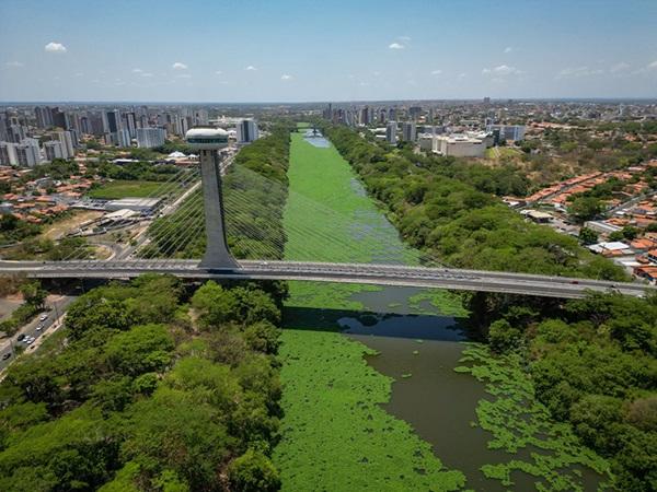 Nova lei institui programa de arborização urbana e recuperação de terrenos baldios em Teresina