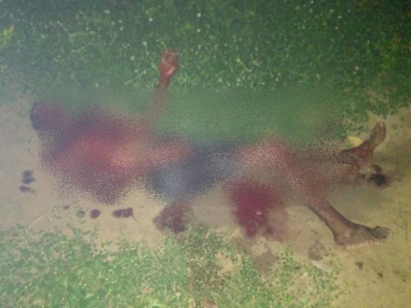 Marido da mulher que morreu carbonizada n&atilde;o resiste os ferimentos e morre em Floriano.(Imagem:Portalcidadeluz)