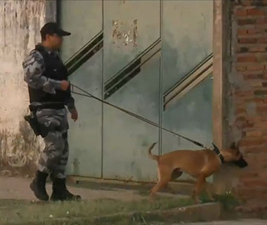 Polícia deflagra ação para prender quadrilha que atuava em furto de escolas