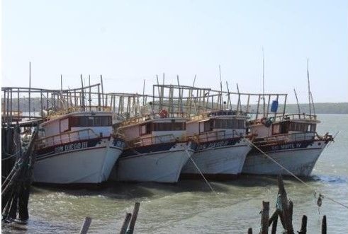 Governador sanciona lei que promove regularização fundiária para pescadores do Piauí