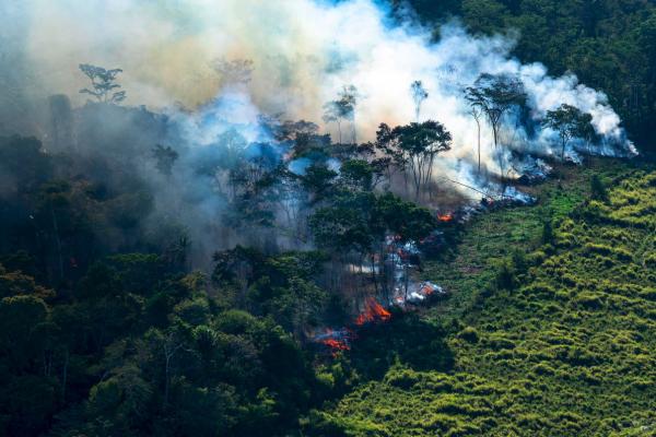 Contradições na política ambiental geram desconfiança internacional e inibem combate ao desmatamento