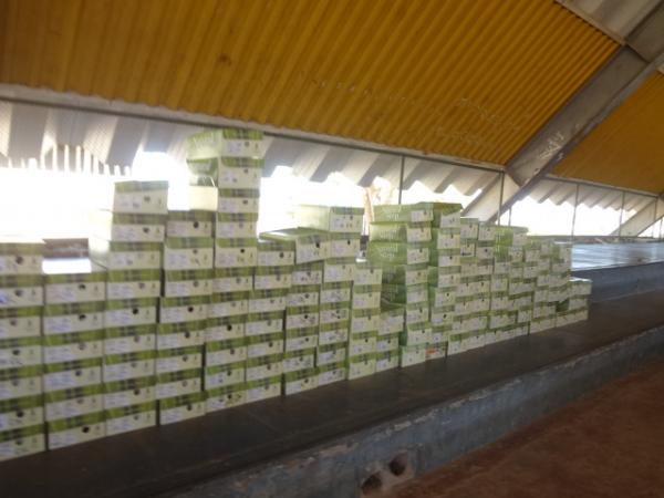 CEIR M&oacute;vel realiza entrega de produtos ortop&eacute;dicos em Floriano.(Imagem:FlorianoNews)
