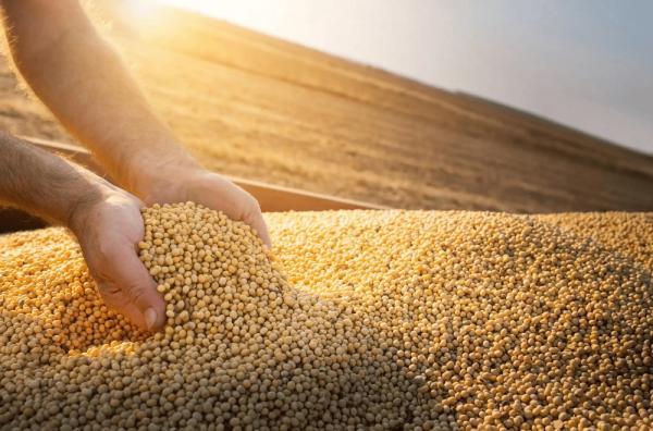 Piauí bate próprio recorde e alcança a marca de R$ 8,186 bilhões em exportações no ano de 2023