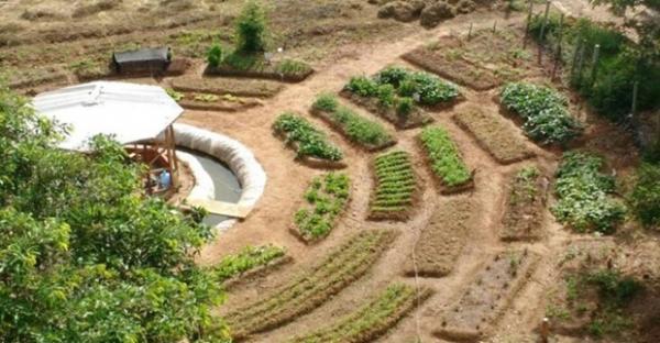 Seduc vai implantar Sistemas Produtivos Agroecológicos em escolas