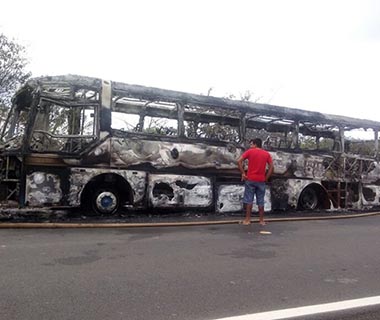 Ônibus pega fogo na BR-343 e fica totalmente destruído