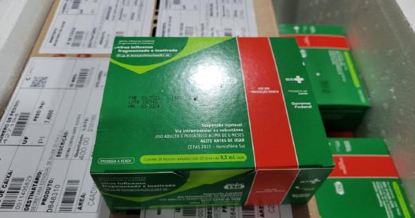 Piauí recebe 100 mil novas doses para reforçar vacinação contra a gripe