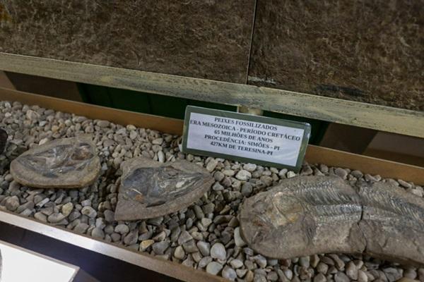 Museu do Piau&iacute; - Sal&atilde;o dos Ind&iacute;genas(Imagem:Regis Falc&atilde;o)