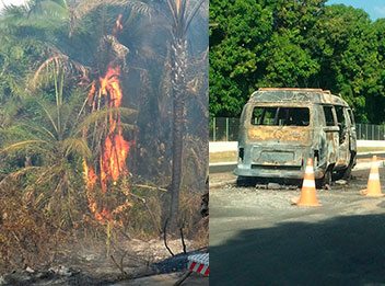 Fogo atinge parque Zoobotânico e queima árvores e carro na UFPI