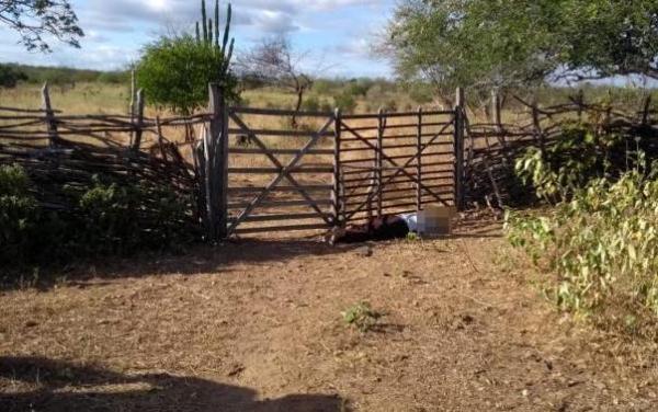 Idoso de 73 anos é encontrado morto no interior do Piauí