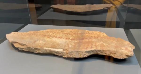 Museu em São Paulo expõe peças arqueológicas da Serra da Capivara e homenageia Niède Guidon