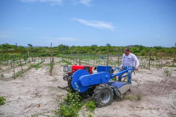 Agropecuária dobra participação na economia do Piauí em duas décadas, diz IBGE
