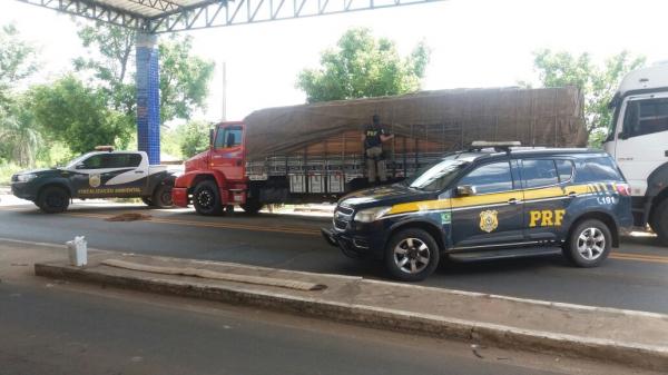 PRF apreende caminhão com 34 toneladas de madeira ilegal em Floriano/PI