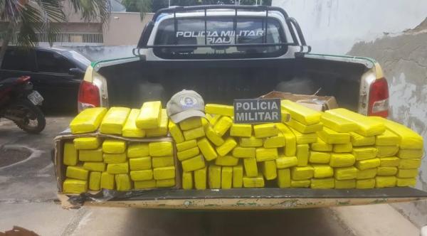 PM encontra 85 kg de droga enterrada em área de mata no Sul do Piauí