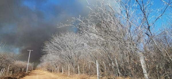 Incêndio que ameaçava Parques das Serras das Confusões e Capivara é controlado após dois dias