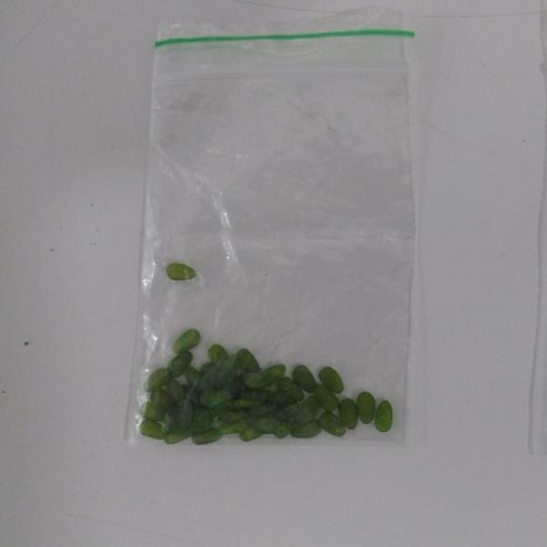 Depre apreende pela 1ª vez no Piauí LSD conhecido como "lágrimas de Shiva"