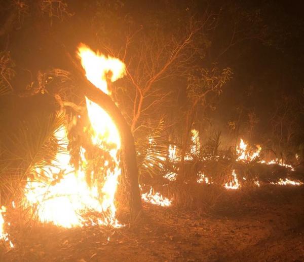 Incêndio atingiu 400 hectares e matou animais silvestres em Bom Jesus: "prejuízo incalculável"