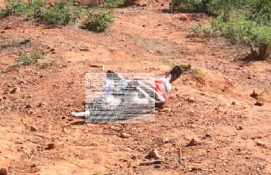 Idoso é encontrado morto no quintal de sua residência em José de Freitas