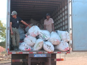 Ex-dependentes químicos ajudam polícia a incinerar 150 kg de drogas