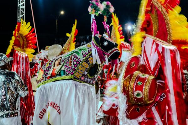 Festival de Bois do Piauí celebra tradição e cultura popular no Encontro Nacional de Folguedos