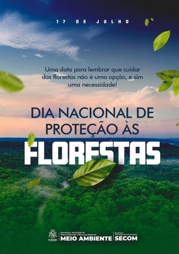17 de Julho: Dia Nacional de Proteção às Florestas: um chamado à conscientização e à ação