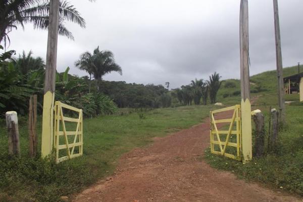 Rep&oacute;rter Amarelinho visita f&aacute;brica da cacha&ccedil;a Vale do Riach&atilde;o.(Imagem:FlorianoNews)
