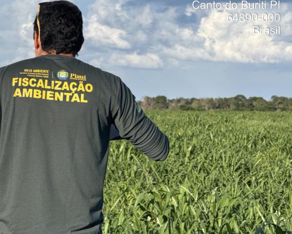 Operação Caatinga Resiste identifica mais de 1.500 hectares de desmatamento ilegal no Piauí