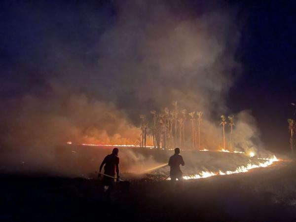 Bombeiros: combate a inc&ecirc;ndios florestais &eacute; destaque em 2024(Imagem:Divulga&ccedil;&atilde;o)