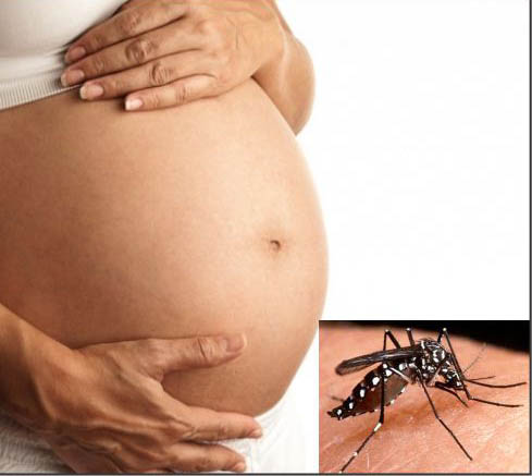 Teresina tem quase 5 mil casos de dengue; veja bairros de maior infestação