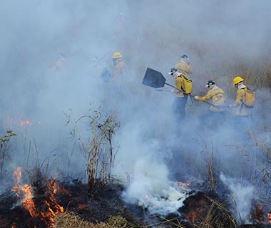 Floriano está entre os municípios com leitura mais crítica de focos de calor