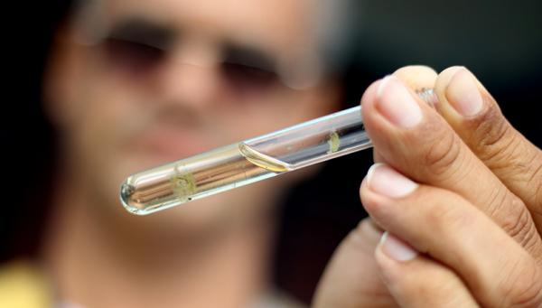 casos de dengue em 2020(Imagem:Rodrigo Nunes/Ministerio da Saúde)