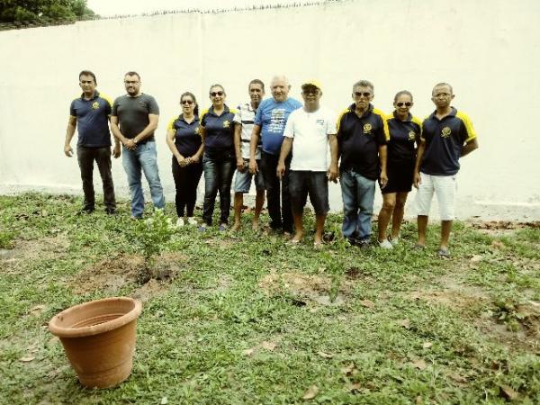 Rotary Clube realiza plantio de mudas de &aacute;rvores na AABB de Floriano.(Imagem:FlorianoNews)
