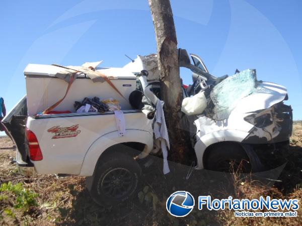 Motorista morre após bater carro em árvore na BR-135, em Bom Jesus.(Imagem:FlorianoNews)