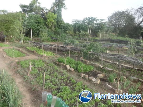 Horticultores cobram provid&ecirc;ncias para o problema da bomba na horta do bairro Alto da Cruz.(Imagem:FlorianoNews)