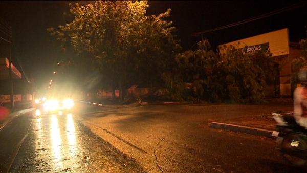 Forte chuva em Teresina derruba árvores e deixa bairros sem luz há mais de 17h