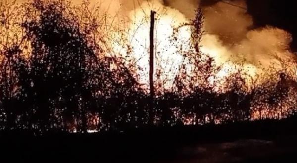 Incêndio consome mais de 1 km de vegetação no Piauí; bombeiros são acionados
