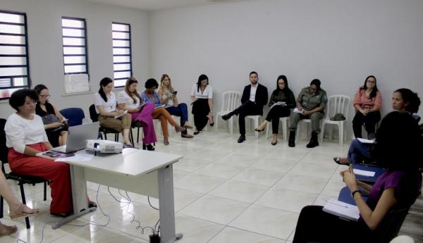 Secretaria das Mulheres re&uacute;ne &oacute;rg&atilde;os e define a&ccedil;&otilde;es da campanha Mar&ccedil;o Mulher.(Imagem:Divulga&ccedil;&atilde;o)