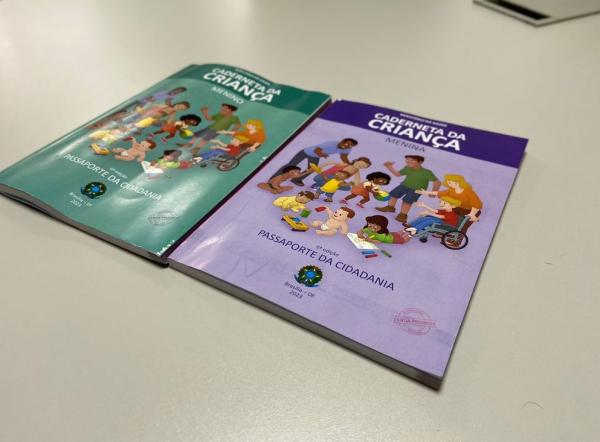 Sesapi recebe Cadernetas de Saúde da Criança e inicia distribuição na próxima semana