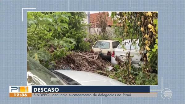  Sindicato dos Delegados de Pol&iacute;cia Civil denuncia sucateamento de delegacias do Piau&iacute;.(Imagem:Reprodu&ccedil;&atilde;o )