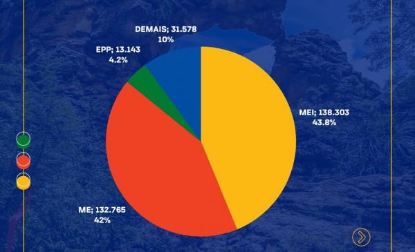 Piau&iacute; tem mais de 300 mil empresas ativas, com predomin&acirc;ncia do com&eacute;rcio e servi&ccedil;os(Imagem:Divulga&ccedil;&atilde;o)