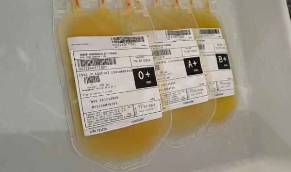 Hemopi inicia produção e distribuição de plaquetas em Floriano e descentraliza serviço.(Imagem:Divulgação)