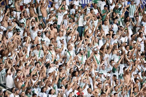 Apesar de títulos do Flamengo, Palmeiras mantém liderança de ranking de clubes da CBF em 2019