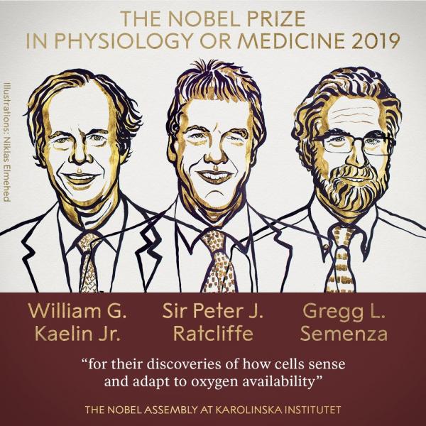 Vencedores do pr&ecirc;mio Nobel de Medicina deste ano: William Kaelin, Sir Peter J. Ratcliffe e Gregg Semenza.(Imagem: Reprodu&ccedil;&atilde;o/Twitter pr&ecirc;mio Nobel)