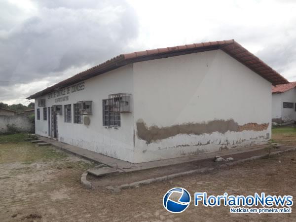 Estrutura do Centro de Controle de Zoonoses de Floriano &eacute; prec&aacute;ria.(Imagem:FlorianoNews)