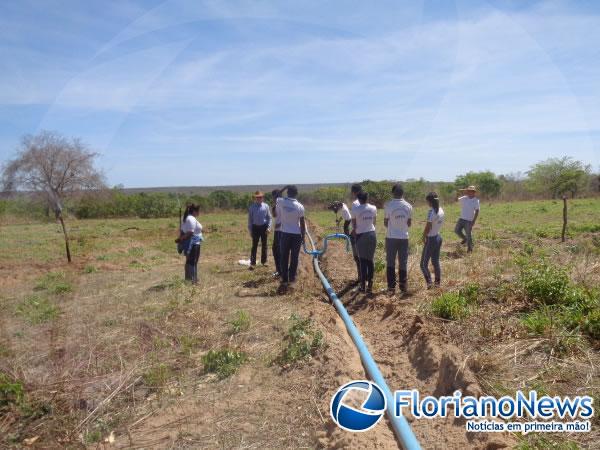 Estudantes instalam sistema de irriga&ccedil;&atilde;o de pasto rotativo em Floriano.(Imagem:FlorianoNews)