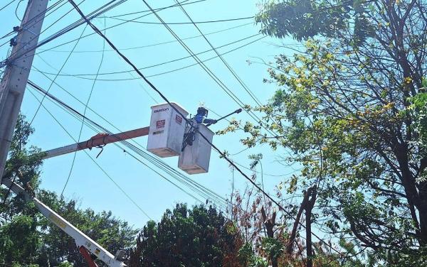 Equatorial Piauí reforça responsabilidades pela poda de árvores para manter fornecimento de energia