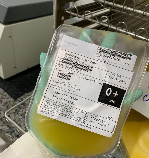 Hemopi inicia produção e distribuição de plaquetas em Floriano e descentraliza serviço