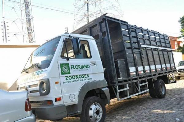 Prefeitura de Floriano contrata veículos para correição e Tratamento Fora do Domicílio