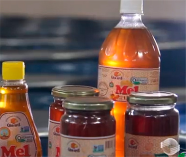 Produção de mel do PI cresce e gera quase R$ 45 milhões, aponta IBGE